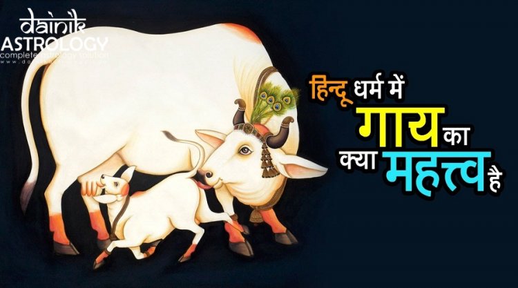 हिन्दू धर्म में गाय का क्या महत्व है?
